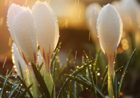 周杰伦和邓丽君隔空对唱是哪个歌 周杰伦和邓丽君