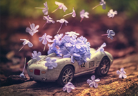 命令与征服重制版 命令与征服重制版怎么设置中文